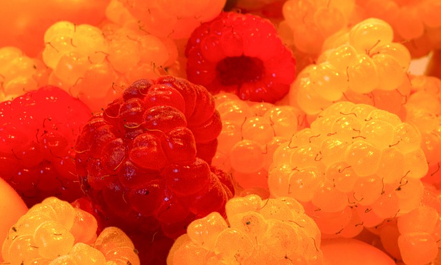 辛纳的技艺 辛纳的技艺