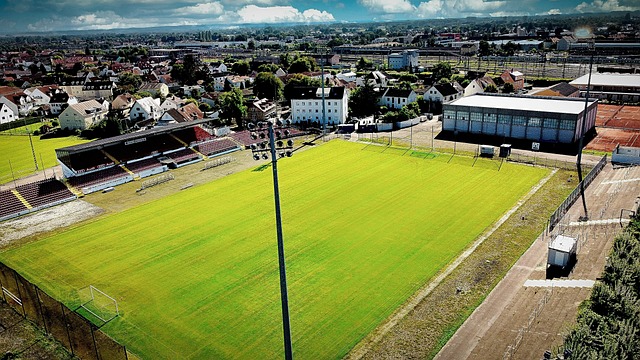 剑玉的多样 剑玉的多样