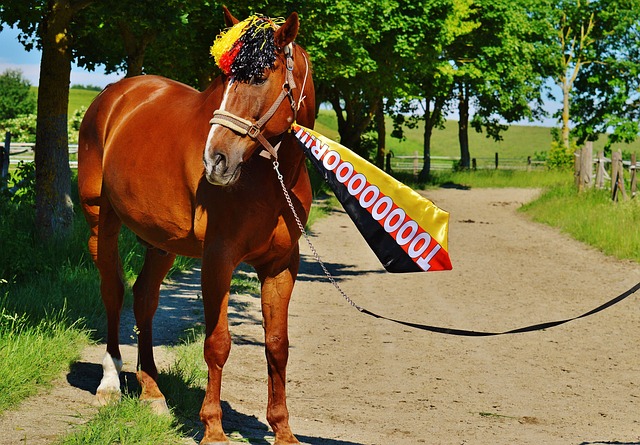 成长和学习 成长和学习