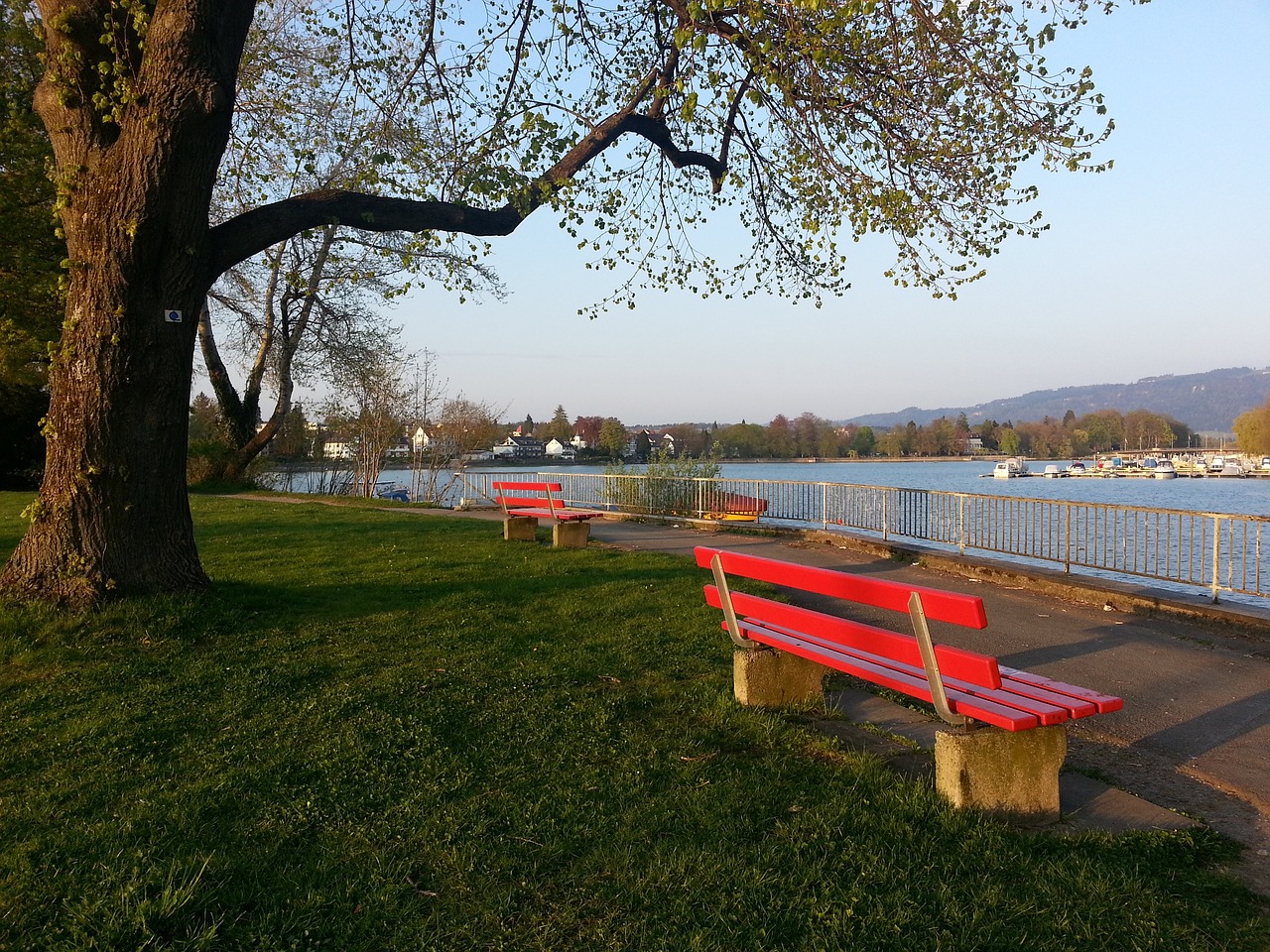 和精准的射 和精准的射