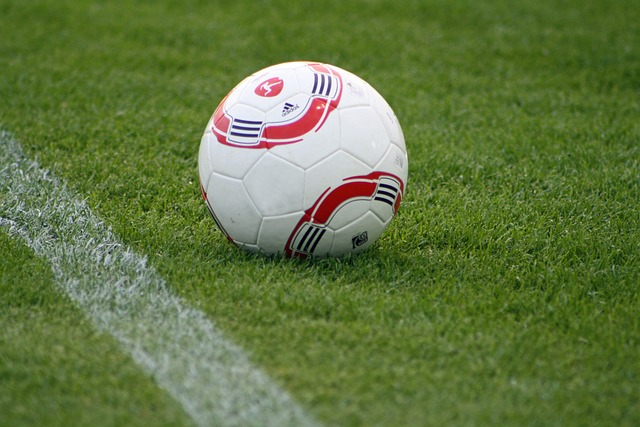 搶大谷和索托都失敗 為何藍鳥想要的通通得不到？.