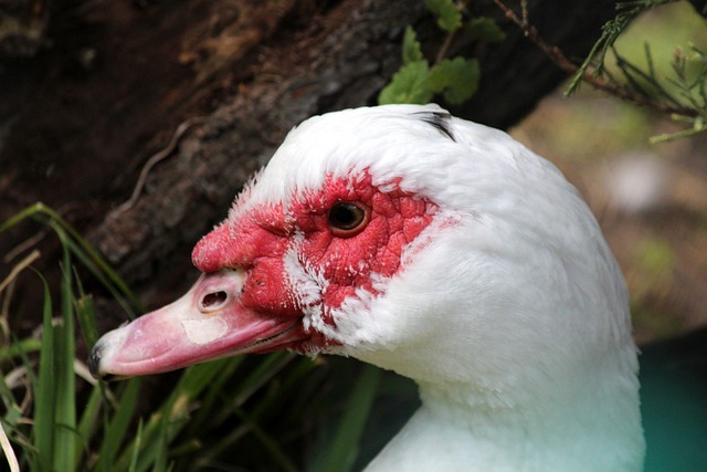 为一种精神 为一种精神