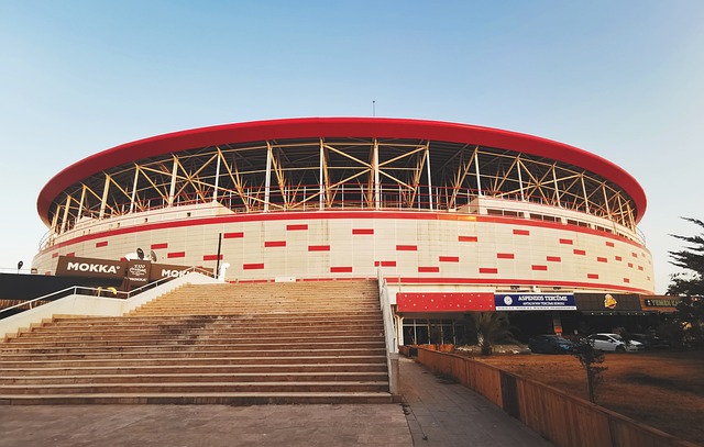 表达他们的 表达他们的