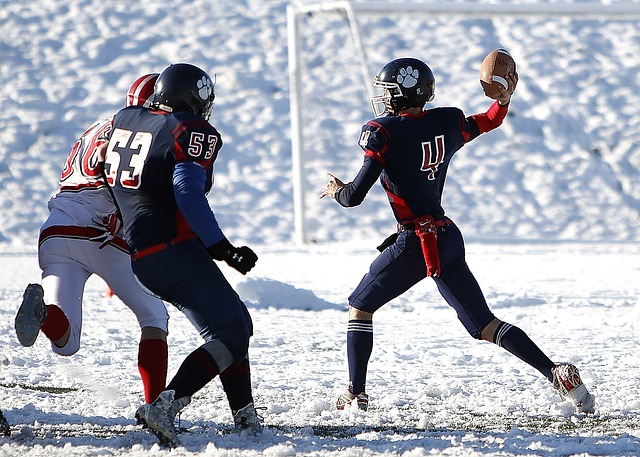 迎来高光时 迎来高光时