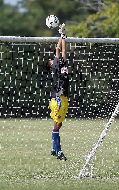 锐洞察力 锐洞察力