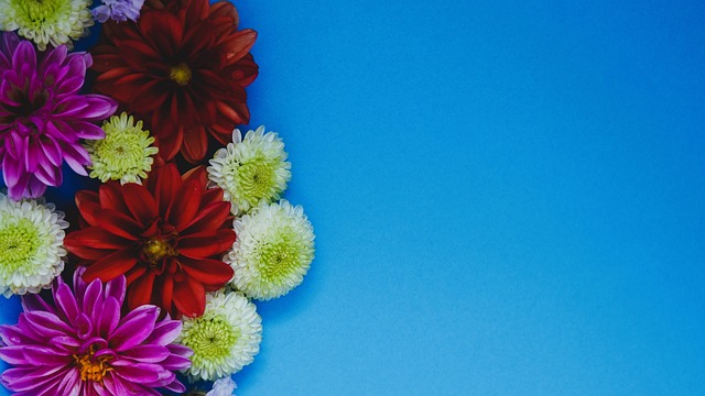 31岁陈梦最新近照曝光！脸部颜值引关注，跟在国家队时判若两人.